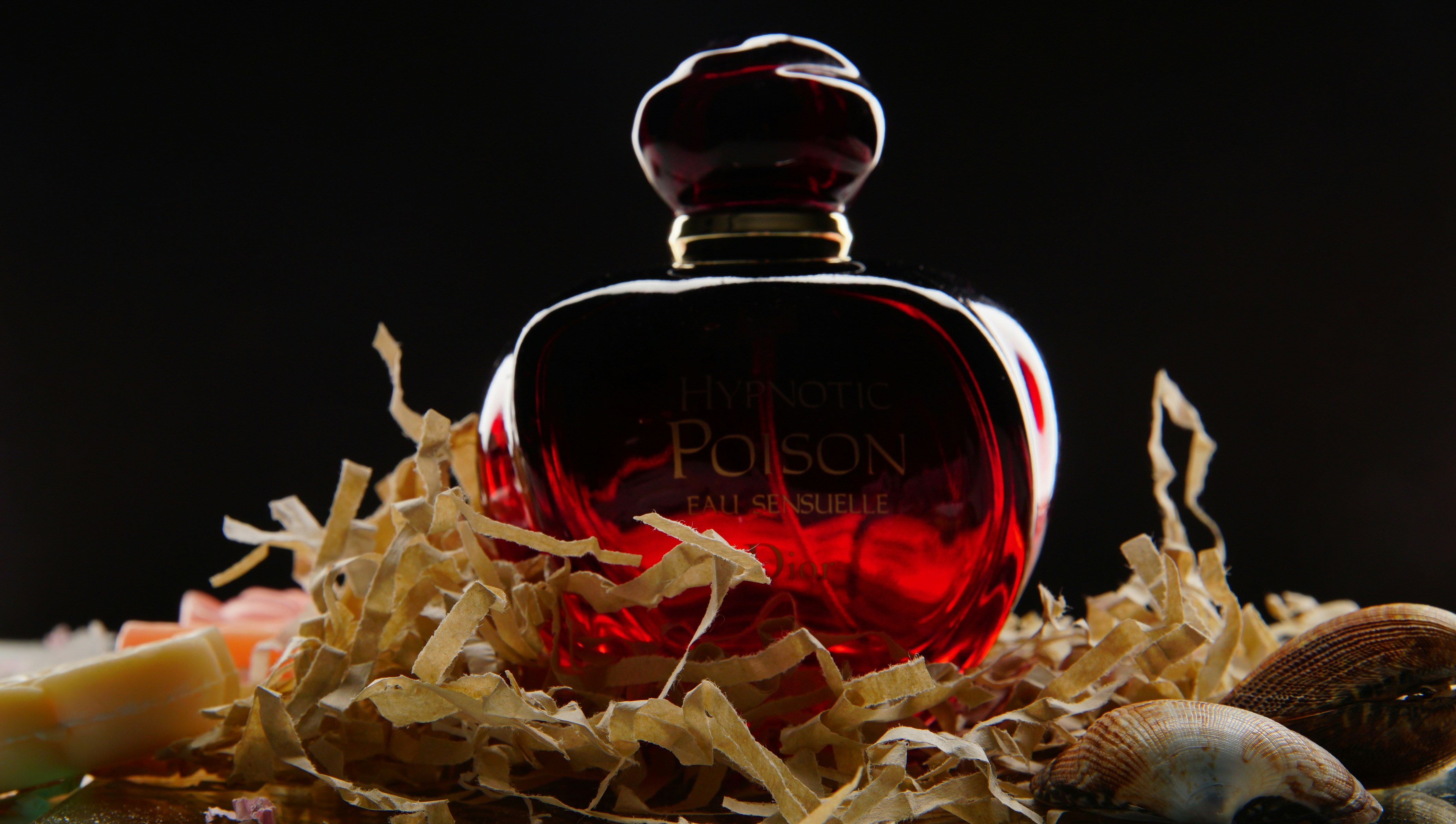 How Maison Orion cut competitive research time by 42%